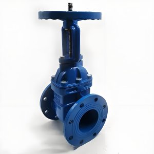 手動閘閥Z41T-16 DN50/DN65廠家直銷，上海發